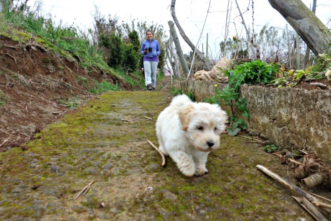 Even pooches love this geocache