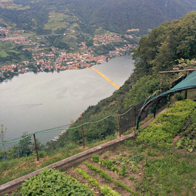 “The Floating Piers” from the trail
