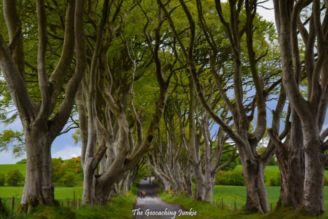 The King’s Road / The Dark Hedges