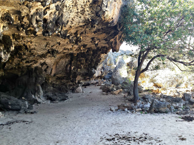 Th' path t' th' geocache