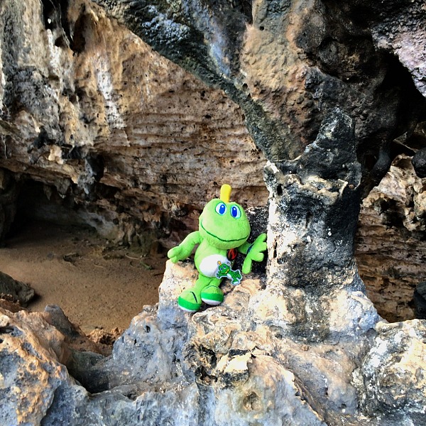 But if Signal can make th' arduous journey, ye can too! 