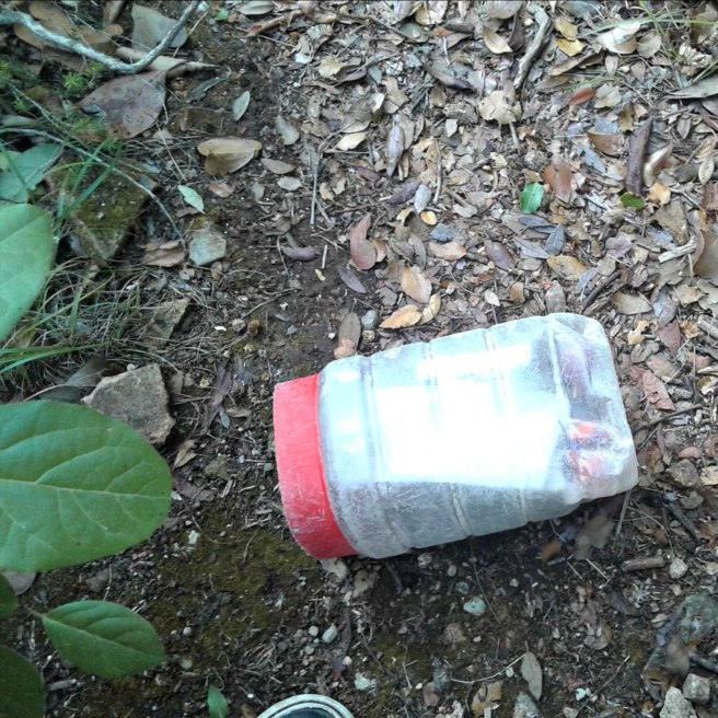 The cache itself ain't nuthin' fancy, but LOOK AT THAT VIEW!