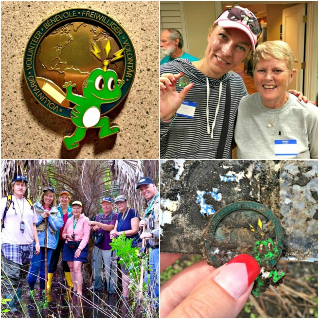 3 countries + 2 geocachers + 1 geocoin = an incredible twist of fate