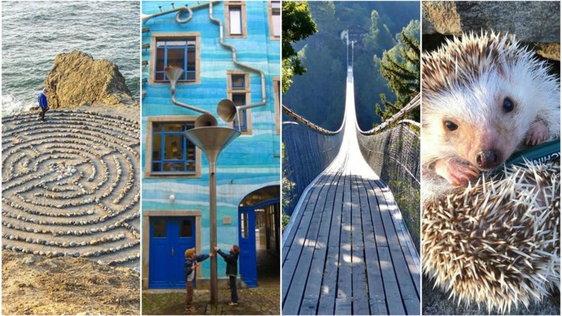 Top 10 images from our Geocaching Instagram