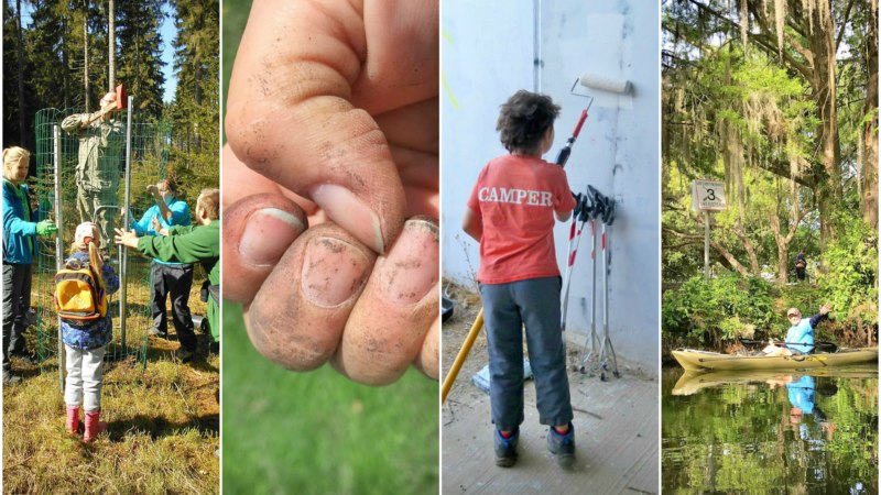 Cache In Trash Out® — 10 Create Ways to CITO.