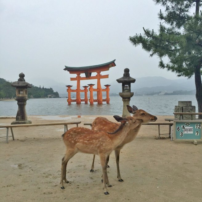 The deer look sweet, but watch out! They're crafty!