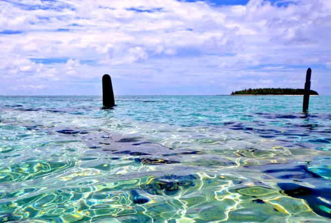 At low tide, the propellers can be seen above the waterline.