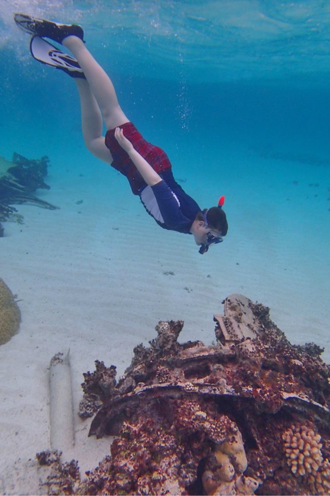 In any event, you will need a mask, snorkel, and underwater camera to log this cache.