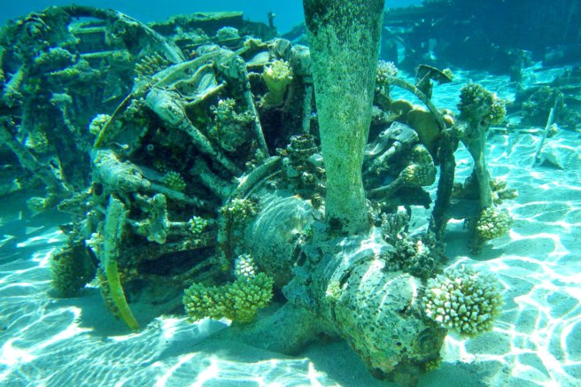 Post an underwater photo of yourself in front of one of the remaining propellers.