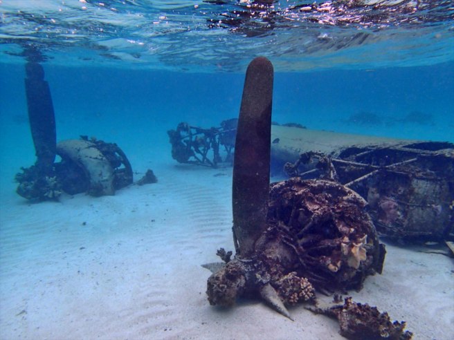 B-24J “Liberator” — Geocache of the Week