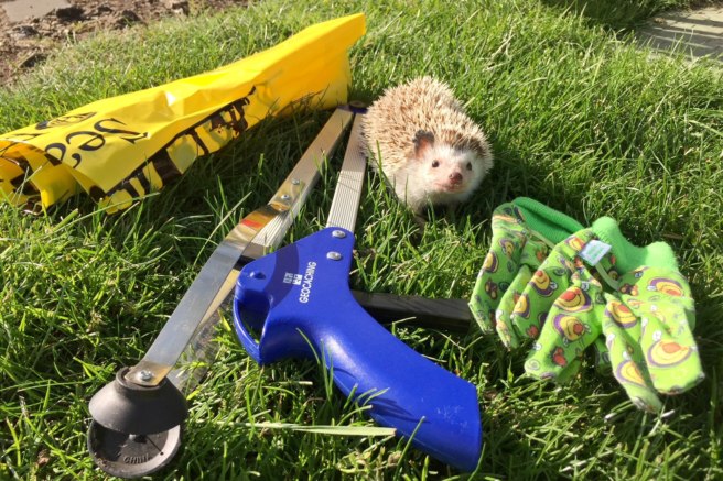 Spring CITO 2018 - Fremont Neighborhood Cleanup — GC7JJRG, Seattle, USA