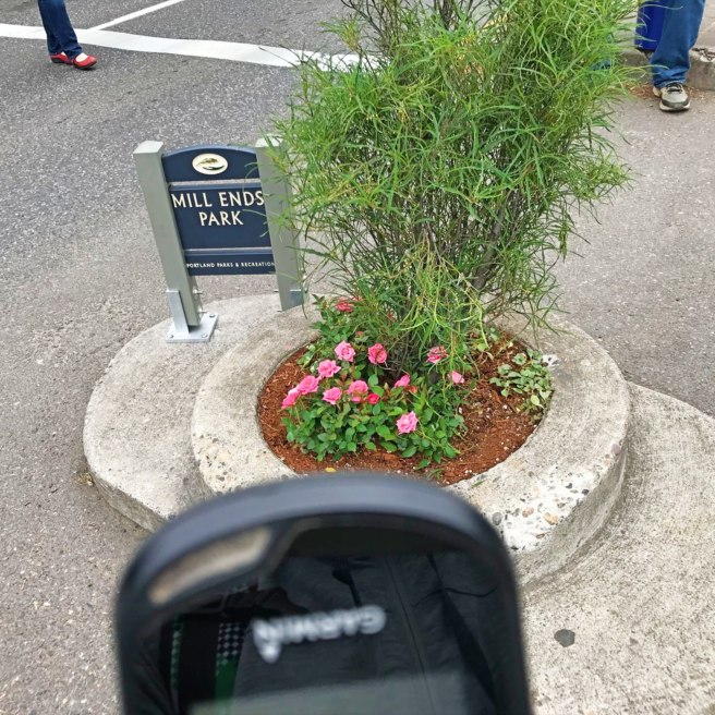 Welcome to Mill Ends Park in Portland, Oregon