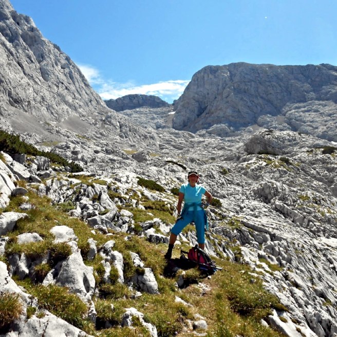 Die Geologie des Hohen Gölls