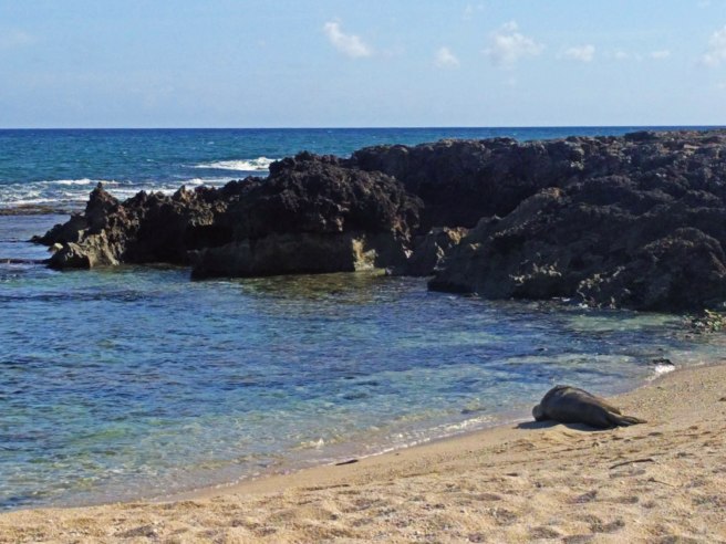 Kaena Point CITO, Hawaii — GC7VHK1