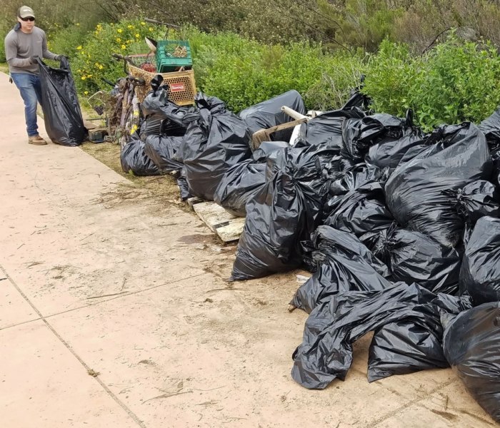 CITO California GC8399B