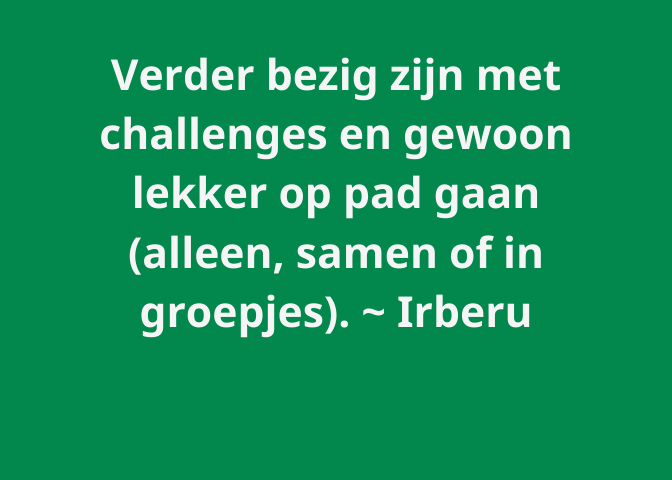 Dutch survey responses - 2020 Vision