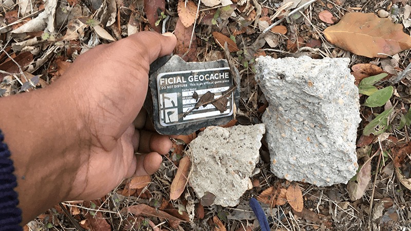 Libelle geocaching escondite geocache especial ha fallado bosque animal Tube 