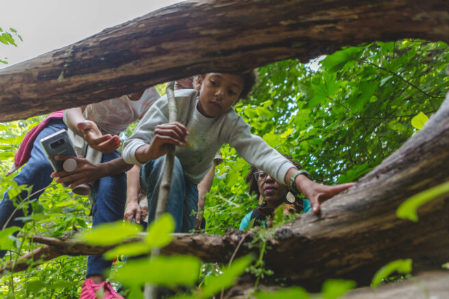 People looking under a log for a geocache.