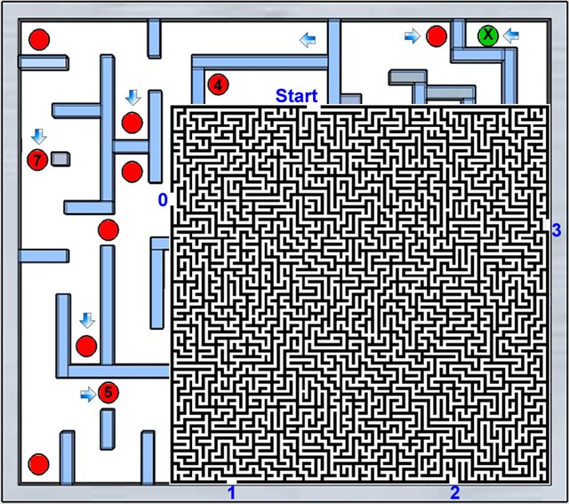 An intricate maze