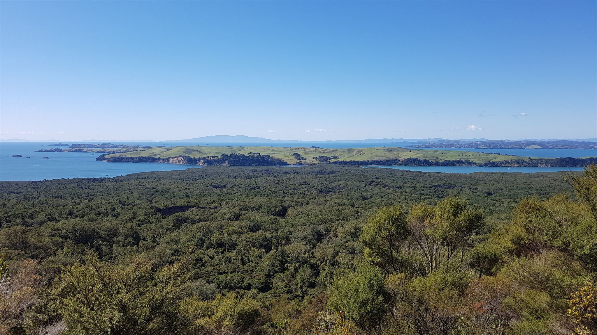 A view of Rangitoto Island from the peak of the volcanic island.