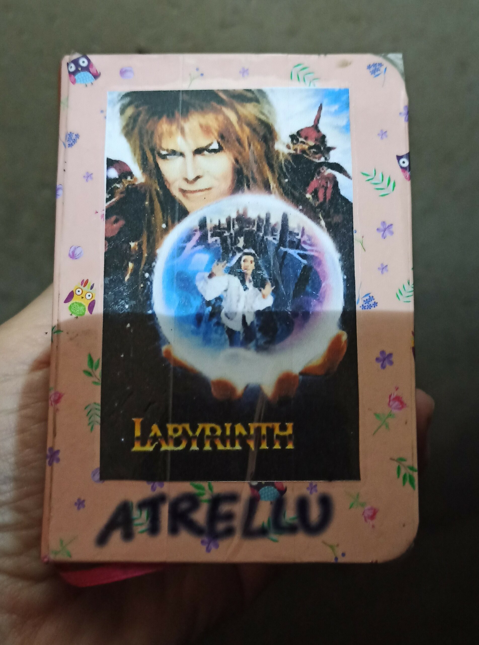 Logbook with picture of Jareth the goblin king on its cover.