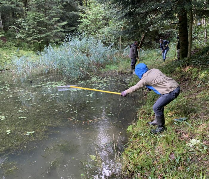 CankerHummer GC9GG21