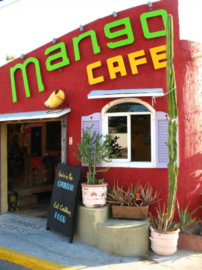 Mango to the cafe — Geocache of the Week Official Blog
