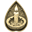 Geocoin Icon