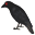 The Raven Geocoin