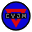 Geocoin Icon