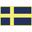 Svenskt Nationaldagscoin